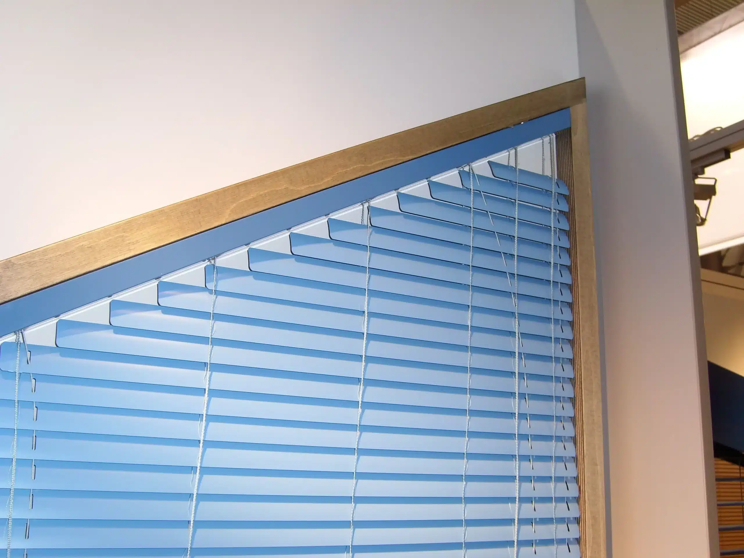 pleated blinds for odd shaped windows